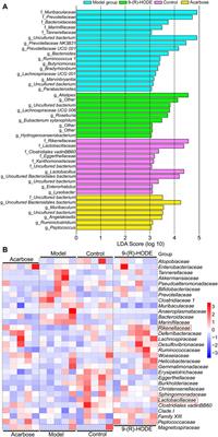 Action mechanism of hypoglycemic principle 9-(R)-HODE isolated from cortex lycii based on a metabolomics approach